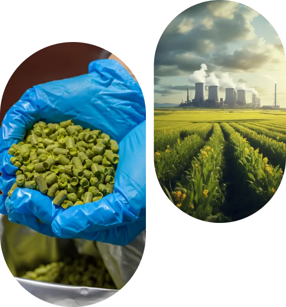 Benefits of ERP for Ethanol Manufacturing