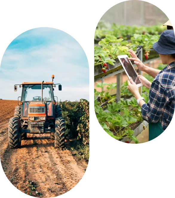 Benefits of ERP for Agriculture Industry