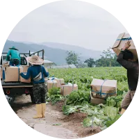 ChallengeRisks in Transportation Delays and Demand