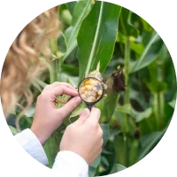 challenges Industry Standards