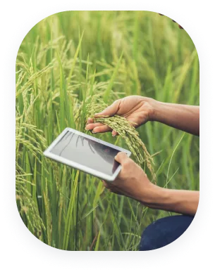 Erp for Agriculture Industry