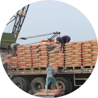 Challenges Delays in Material Sourcing