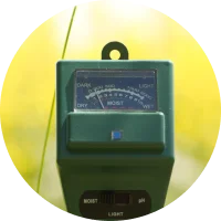 Benefit Lint Monitoring