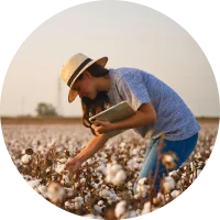 Benefit Yield & Waste Analysis