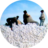 Challenges Inability to Handle Seasonal Volume