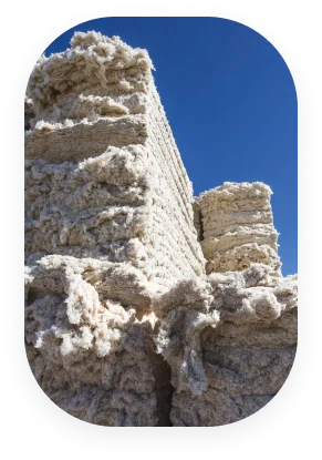 ERP for Cotton Ginning and Pressing Industry