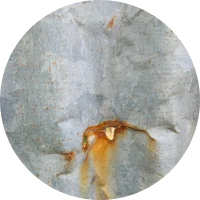 Challenges Fuel and Energy Costing