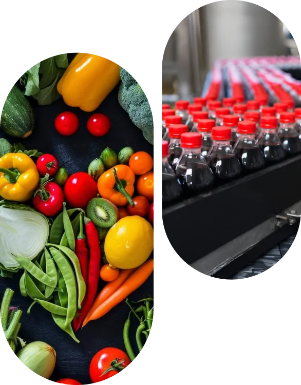 Benefits of ERP for Food Industry