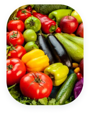 Erp for Food Industry