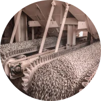 Challenges Inherent Variability