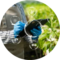 Benefit Contract Deal Settlements