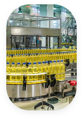 ERP for Solvent Refinery, Agro Based Industry