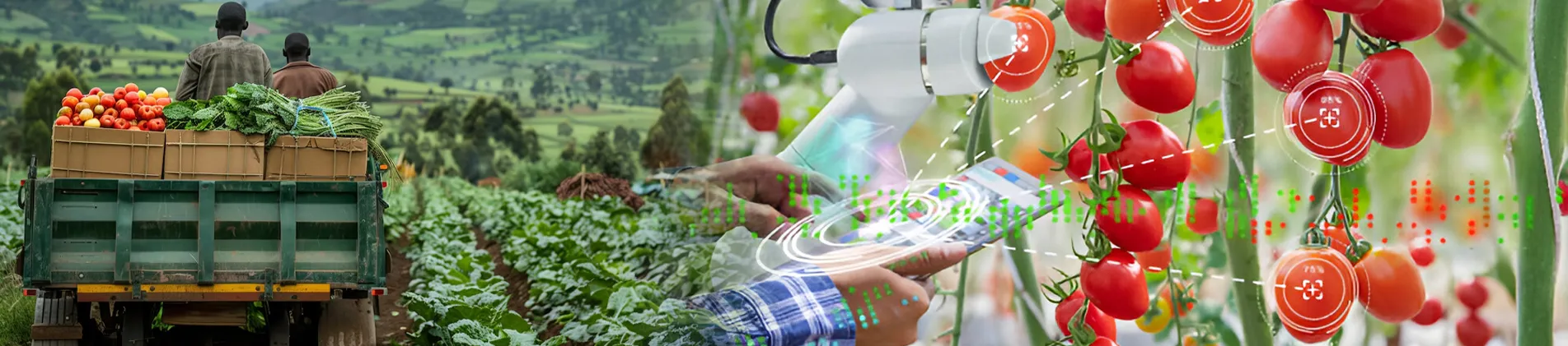 erp for Agriculture industry