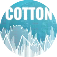 Challenges Price Fluctuations