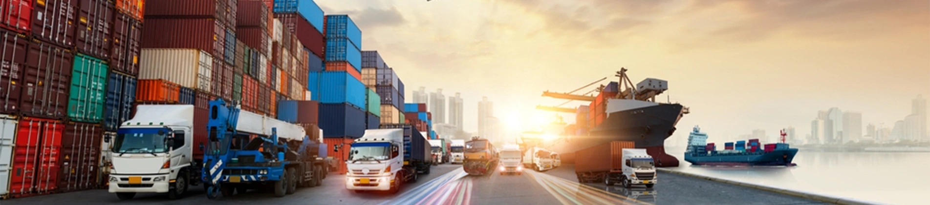 ERP Solution For Export & Import