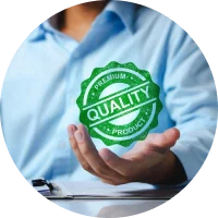 challenges Audit Limitations