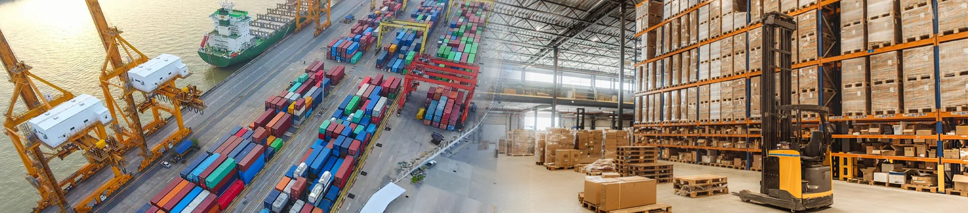 ERP Software For Logistics