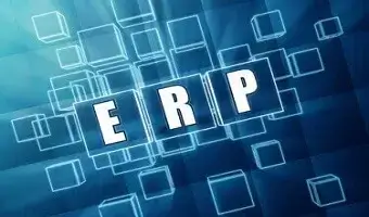 what makes a successful erp